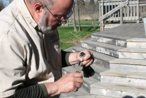 Bird Banding