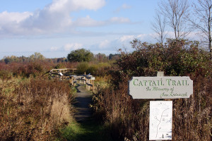 Nature Trail