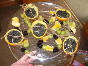 photo of fruit bird feeders