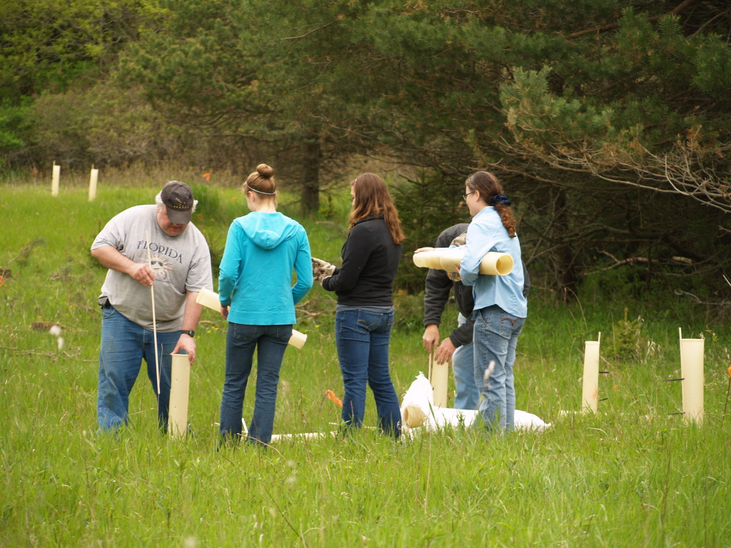 photo of staff and volunteers planting trees