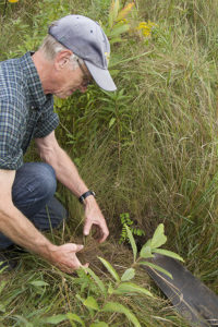 Photo of man planting native wildflowers