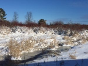 photo of fallen snow on the Dunes property