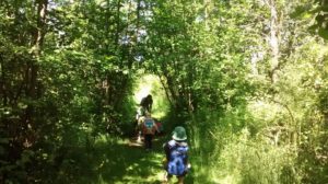 photo of children hiking on a trail in summer