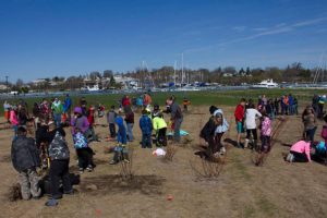 photo of school students planting trees