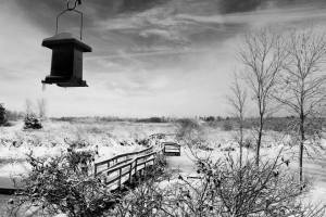 winter dunes