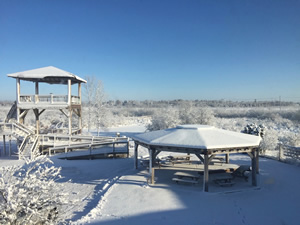 Winter at Woodland Dunes