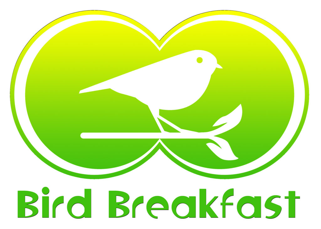 Spring migration Bird Breakfast
