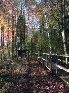 photo of trail from Goodwin Rd, Two Rivers