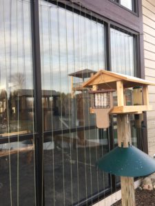 photo of zen curtains by bird feeder