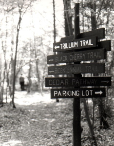 Hiking Trails | Woodland Dunes Nature Center and Preserve