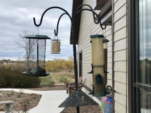 photo of bird feeder station