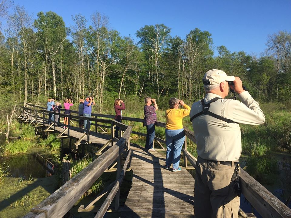 photo of birders with binoculars looking out