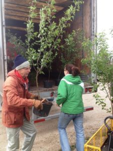 photo of 2 people unloading tree shipment