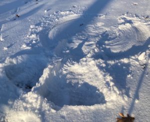 photo of snow angel