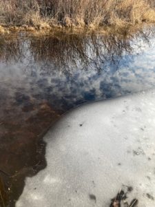 photo of spring ice melt on pond